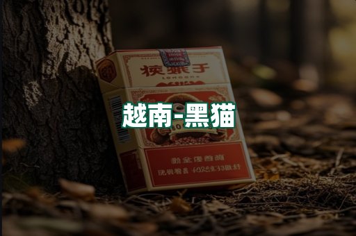 越南黑猫